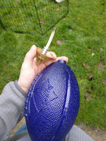 PowerHitter Football Purple & Gold Case 20pk