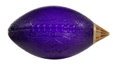 PowerHitter Football Purple & Gold Case 20pk
